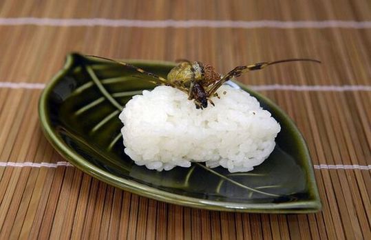 sushi_13