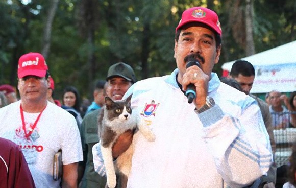 ベネズエラで行われている現代の生類憐れみの令。野良動物救済キャンペーンで大統領自ら野良猫を引き取る。