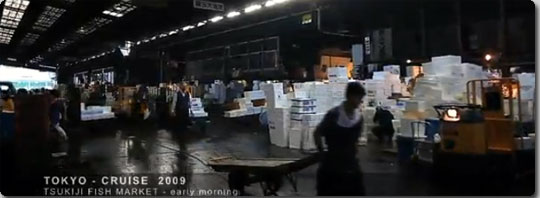 家にいながら東京と京都を各10分で観光できる動画