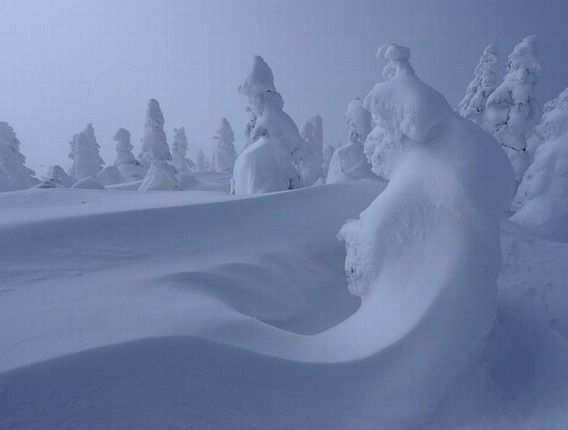 snow_15