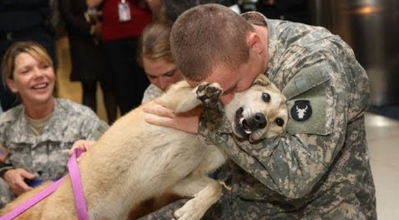 うれしいよお、うれしいよお。帰還した兵士と犬の感動の再会