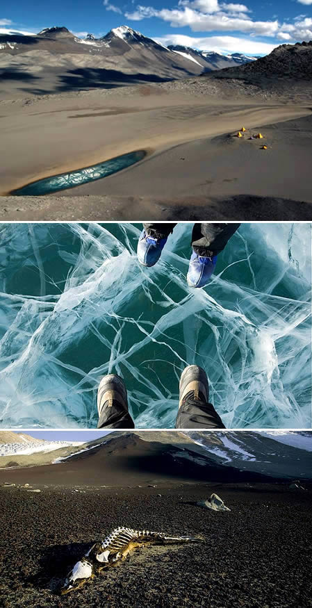 a428_antartica