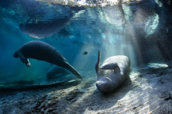 beautiful_award_winning_photos_06