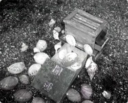 うっすら怖い・・・千葉県