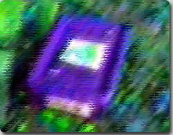 フリマ