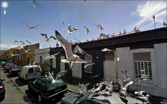 google_street_view_65