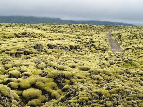 地球内異世界探訪。苔むした溶岩があたり一面に広がる「エルドフロインの溶岩原」（アイスランド）