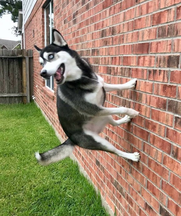 8_e0