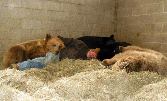 ミラクルすぎるだろ！4匹のクマに囲まれながらぐっすり眠る男のいる風景（アメリカ）