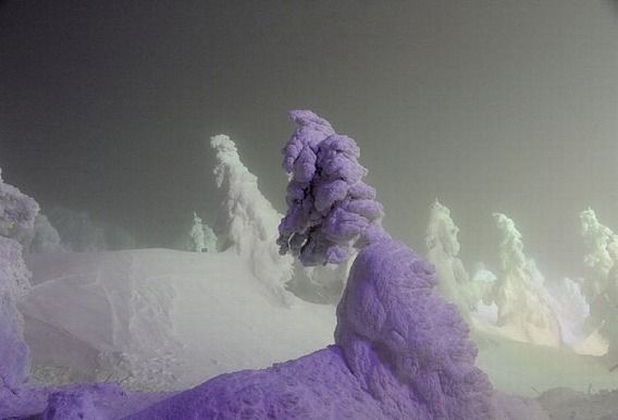 snow_02