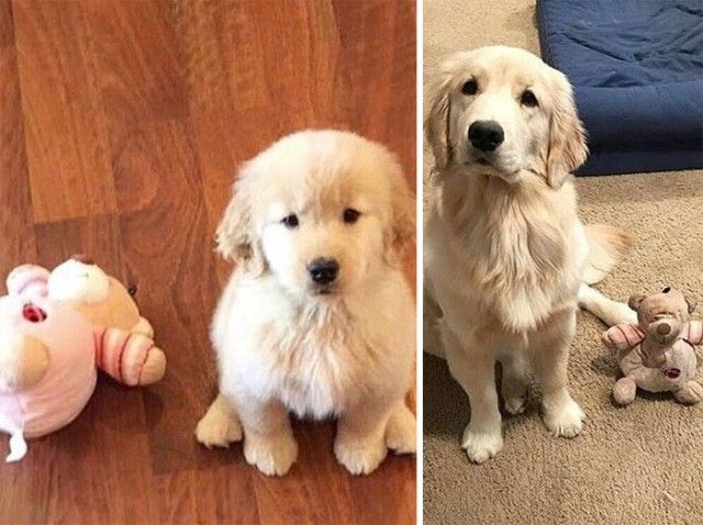 beforeafter11_e