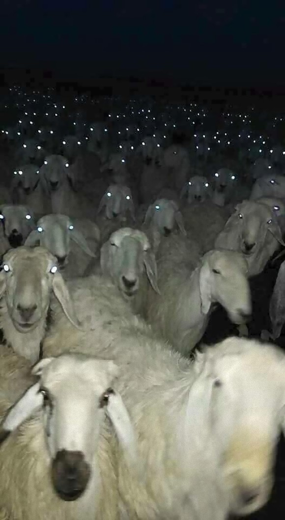 3_e0