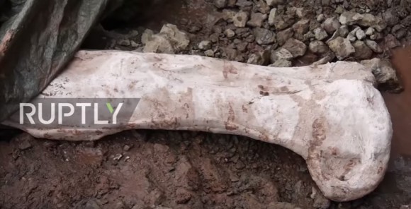 体長20メートルの未知の巨大恐竜の化石が発見される（スペイン）