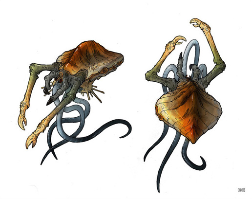 minor_crabstropod