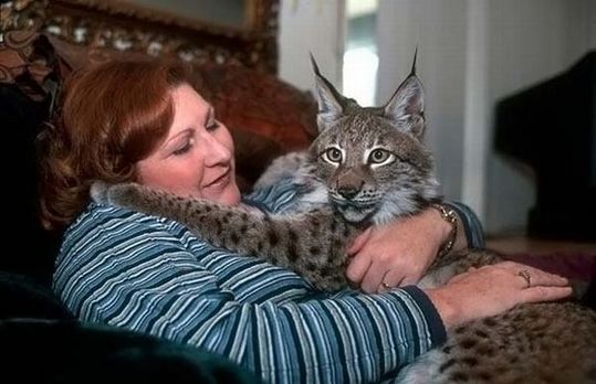 most_unusual_pets_09