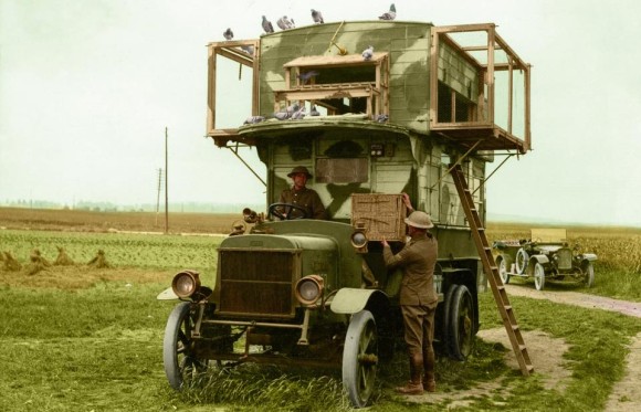第一次世界大戦中に活躍したイギリスの軍鳩は二階建てのダブルデッカーバスを拠点としていた