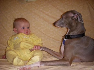 kids-and-animals-17