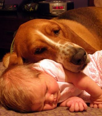 kids-and-animals-10