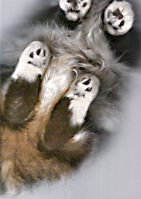4_e