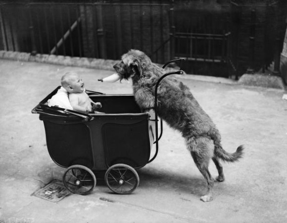 昔から人と犬は友だった。ビンテージ写真で振り返る人と犬の歴史