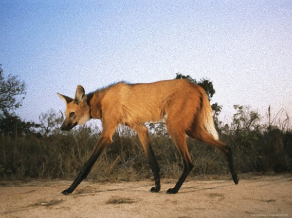 9_e11