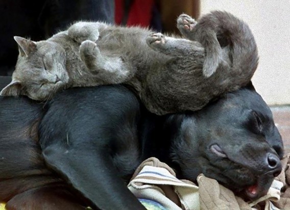 tired_640_21_e