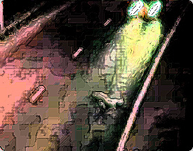 人間ではない！動物でもない！？驚愕のハイウェイモンスター