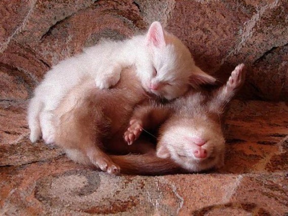 tired_640_15_e