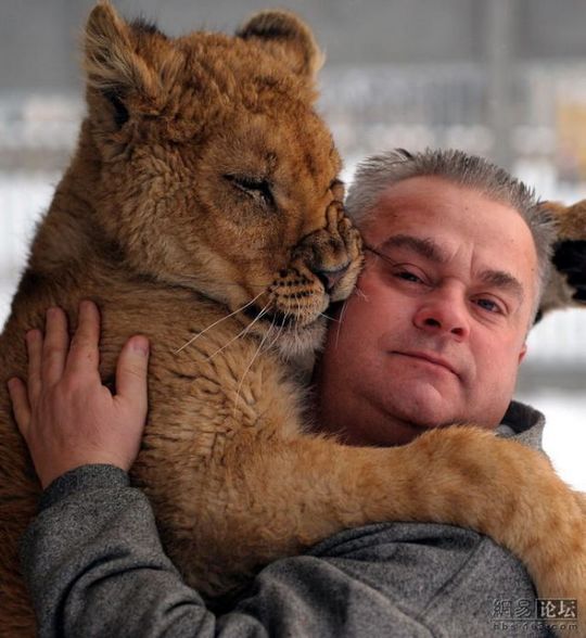 lion_and_man_06