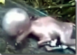 体毛のまったくない巨大な頭、耳のない謎生物が発見される