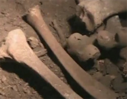 メキシコの洞窟から167体の遺骨、古代墓地の一部であることが判明