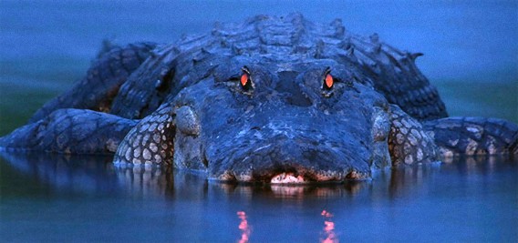 地球上のプレデター。残忍な殺戮方法で獲物を捕食する9の生き物（閲覧注意）