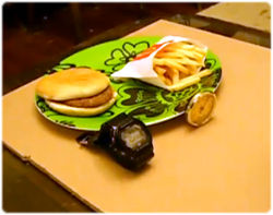 物議を醸した「マクドナルドのハンバーガーは半年腐らない」実験。ほぼ同じシチュエーションでやってみたところ・・・