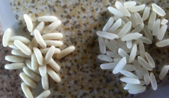 ベトナムのプラスチック米製造工場の映像が公開される？と思ったら釣りだった？（※追記あり）
