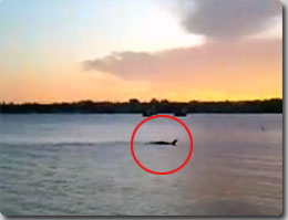 アメリカ、シャンプレーン湖に、実在の可能性が高いと言われているUMA、『チャンプ』が現れる！？