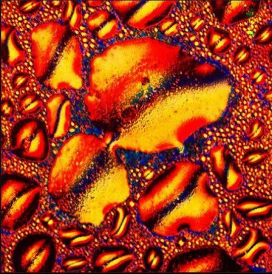 alcoholic_cocktails_under_microscope_13