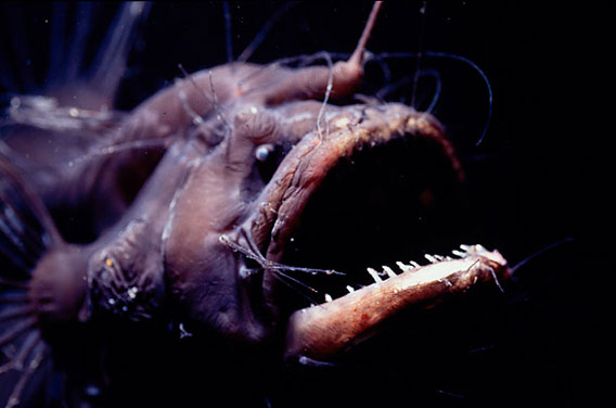 deep_sea_01
