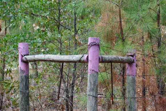 アメリカで上部が紫色の柵を見かけたら要注意。実はこんな法的意味があった。