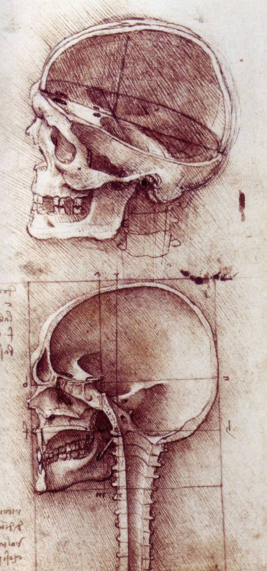skull1mo3