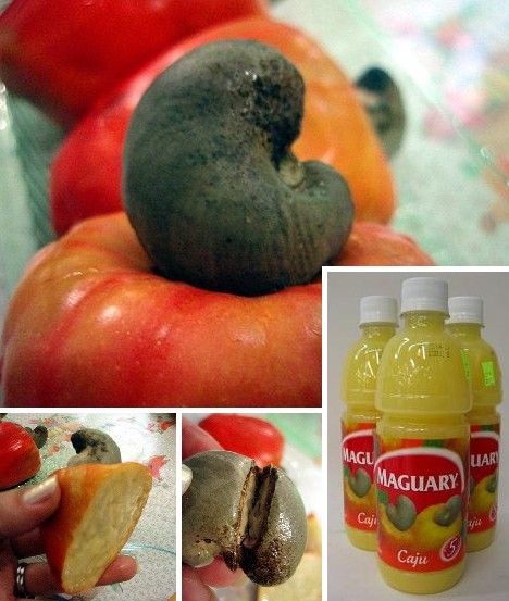 amazing_fruits_1x