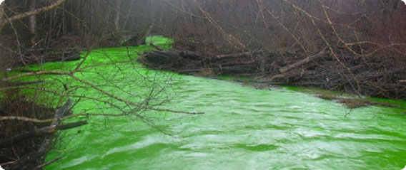 川の水が突然バスクリンのような蛍光緑色に染まるという異常現象が発生（カナダ）