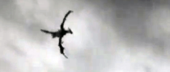 こ、これが伝説のドラゴン？イギリスの上空でいい感じの怪鳥が飛行中のところを目撃、撮影される。