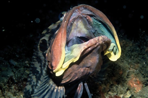 7_e6