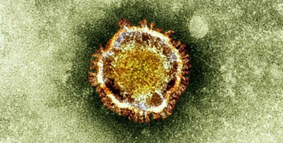 新たなる脅威、世界に拡散する新型コロナウイルス「MERS」