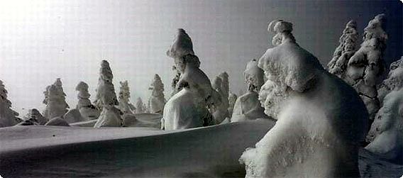 雪