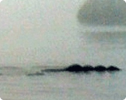 イギリス、ウィンダミア湖でコブのある巨大生物が再び目撃される
