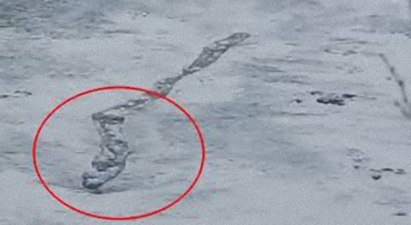 アイスランド伝説のUMA「ラーガルフリョゥト・ワーム」なのか？ウネウネと動く謎の物体が湖面を泳ぐ姿が撮影される（アイスランド）