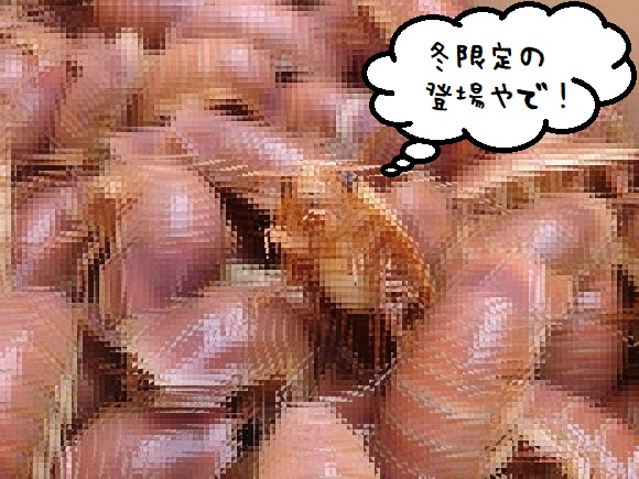 gusoku0_e