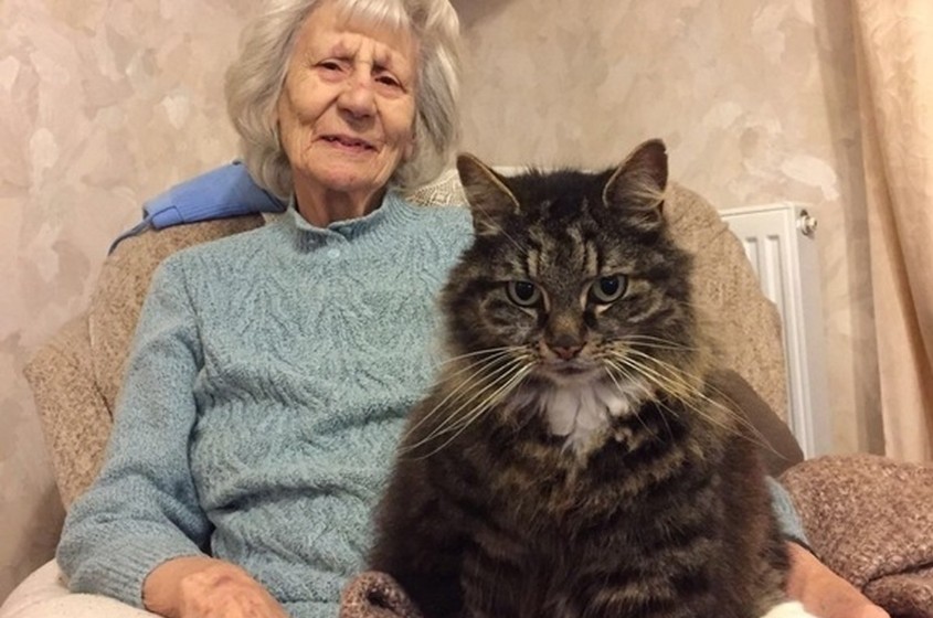 認知症になった90歳のおばあさんの心の支えとなっているのは、13年来の親友である猫だった。