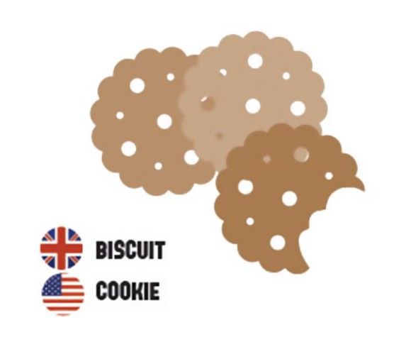 biscuit-cookie_e